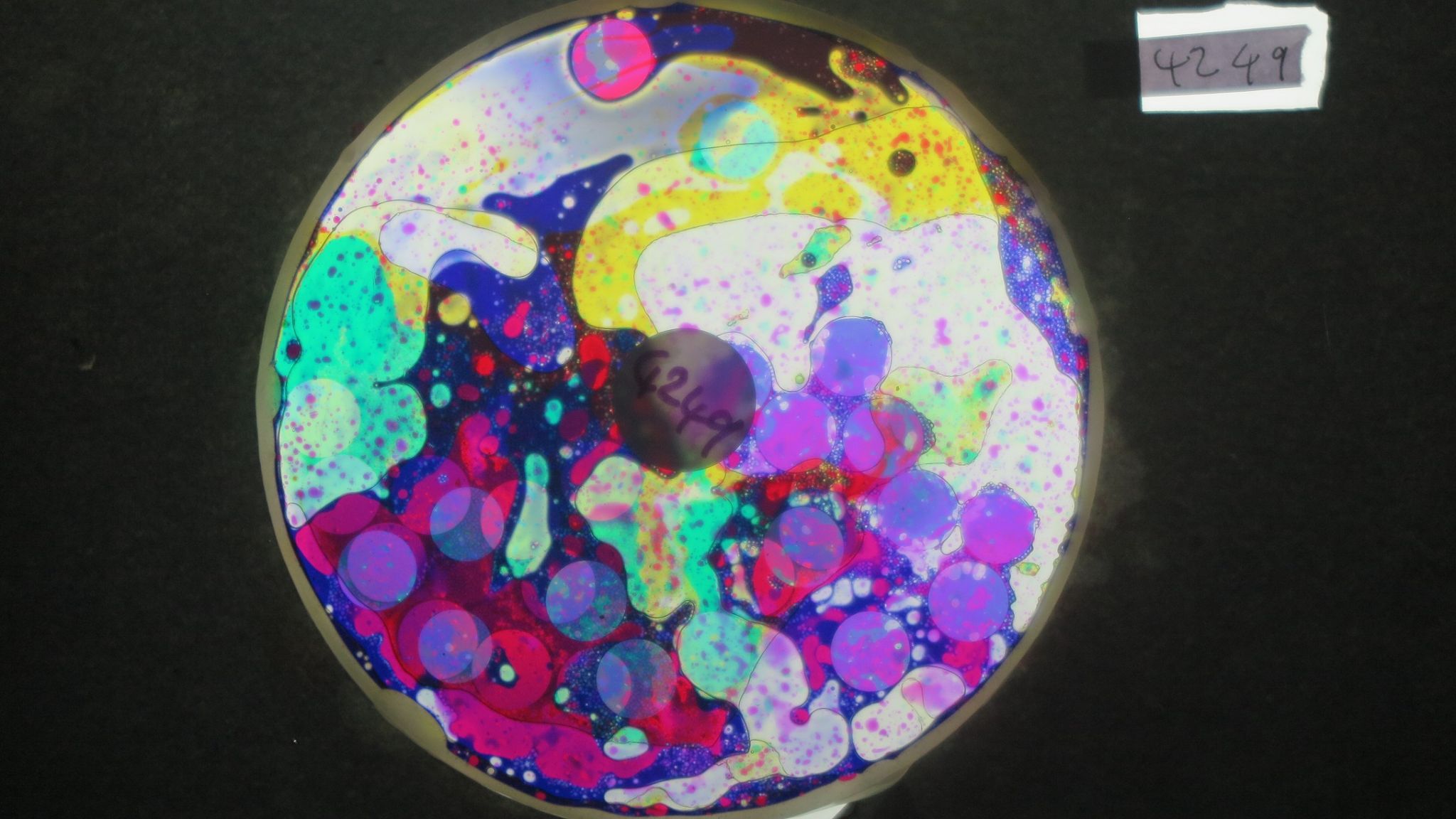 BV4249 bubble vision oil wheel